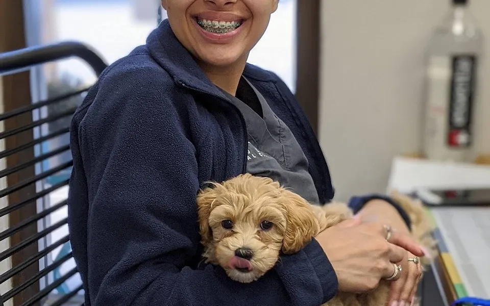 arbutus-west-veterinary-website-design-02