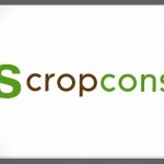 ES Cropconsult: Logo | Lantern Creative