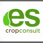 ES Cropconsult: Logo | Lantern Creative
