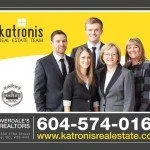 Katronis Real Estate Team: Shopping Cart | Lantern Creative